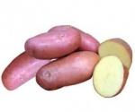 картофель оптом Саратов